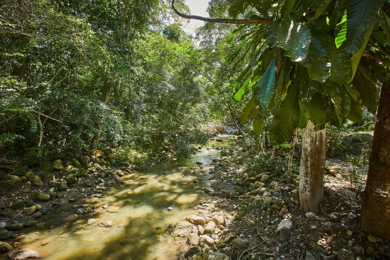 Villa Lu Amazon Ecolodge 塔拉波托 外观 照片
