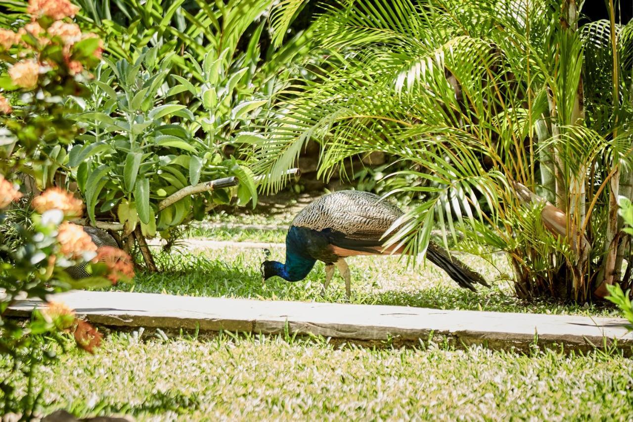 Villa Lu Amazon Ecolodge 塔拉波托 外观 照片