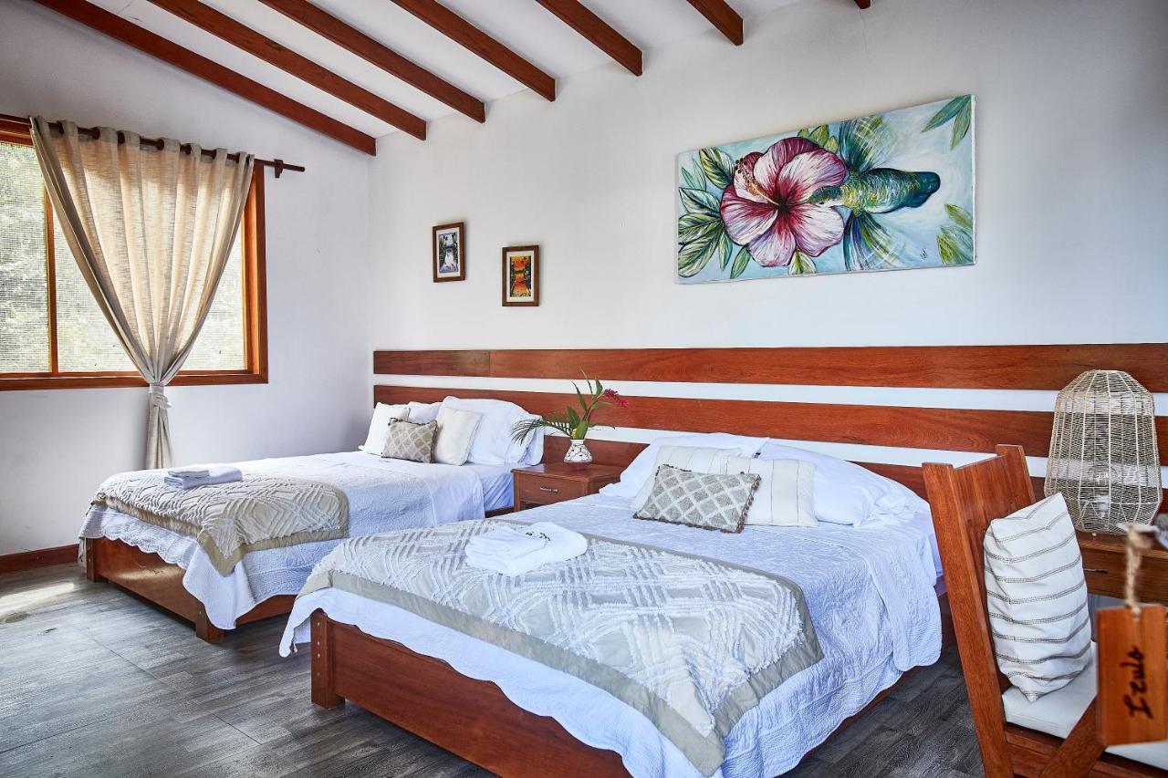 Villa Lu Amazon Ecolodge 塔拉波托 外观 照片