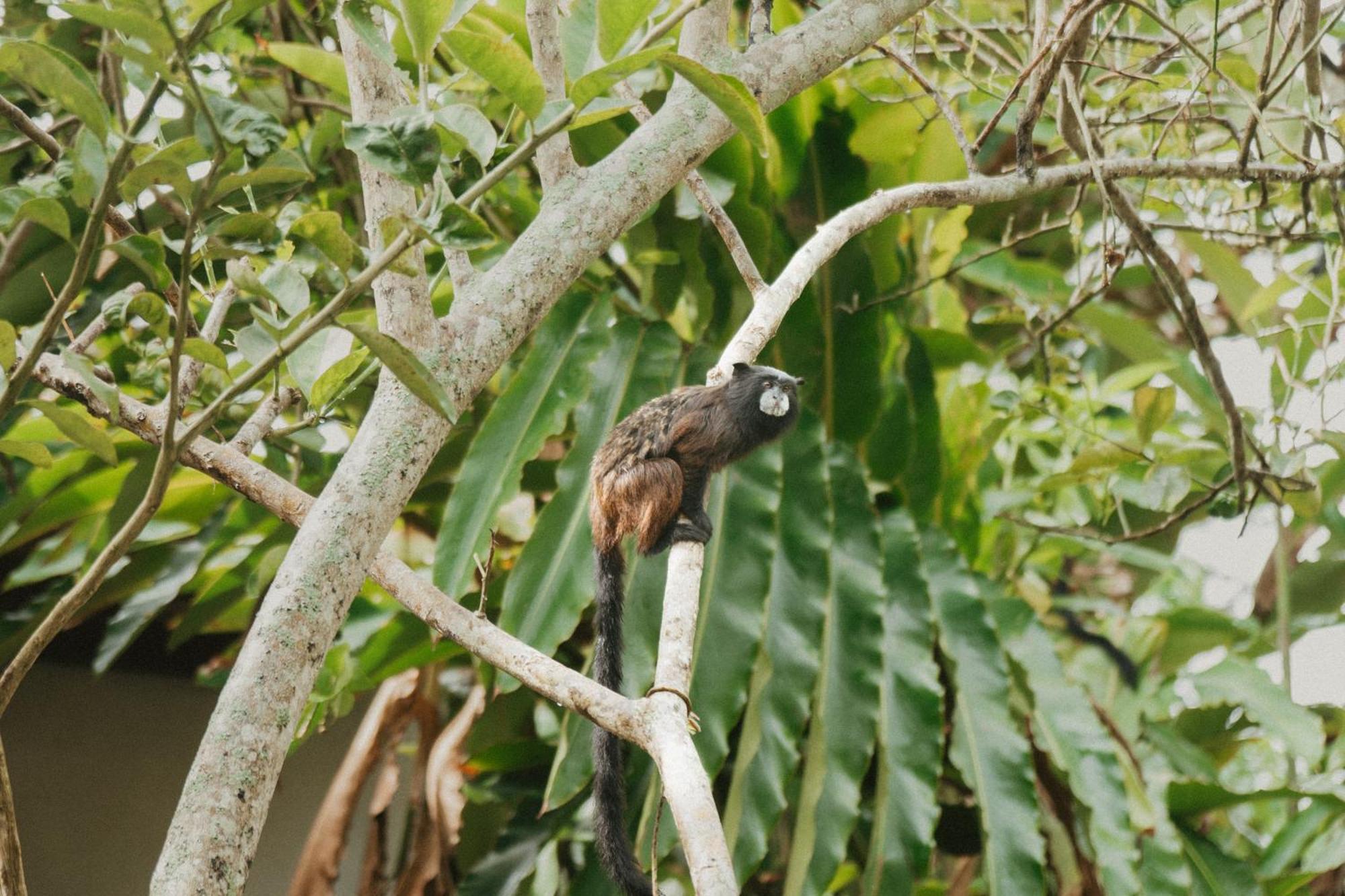 Villa Lu Amazon Ecolodge 塔拉波托 外观 照片