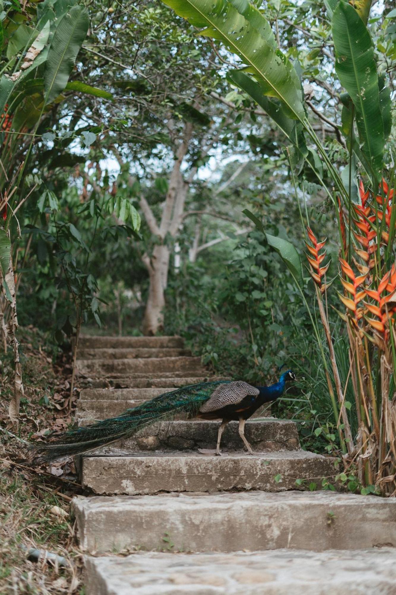 Villa Lu Amazon Ecolodge 塔拉波托 外观 照片